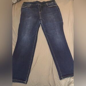 Size 1X (16-18) Terra & Sky pull on stretch denim jeans